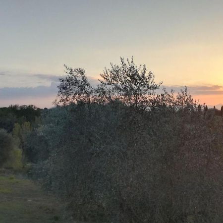 Rododendro Casa Sulle Colline Toscane Vicino San Giminiano Montaione Exteriör bild